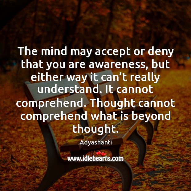 The mind may accept or deny that you are awareness, but either Image