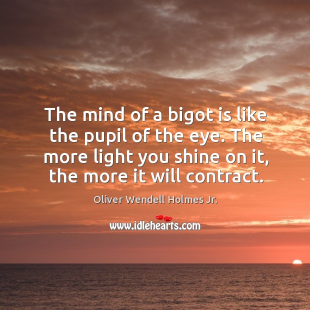 The mind of a bigot is like the pupil of the eye. The more light you shine on it, the more it will contract. Image