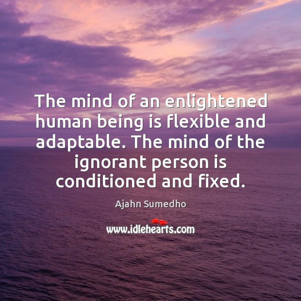 The mind of an enlightened human being is flexible and adaptable. The Image