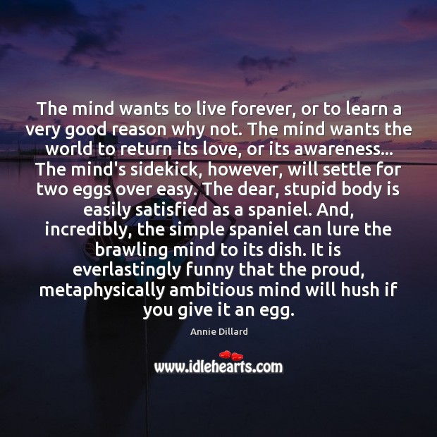 The mind wants to live forever, or to learn a very good Image
