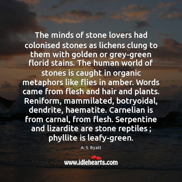 The minds of stone lovers had colonised stones as lichens clung to A. S. Byatt Picture Quote
