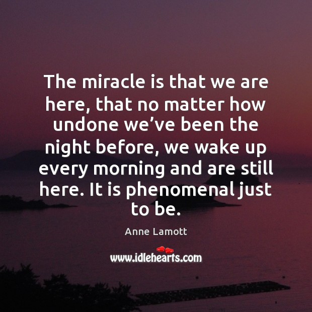 The miracle is that we are here, that no matter how undone Anne Lamott Picture Quote