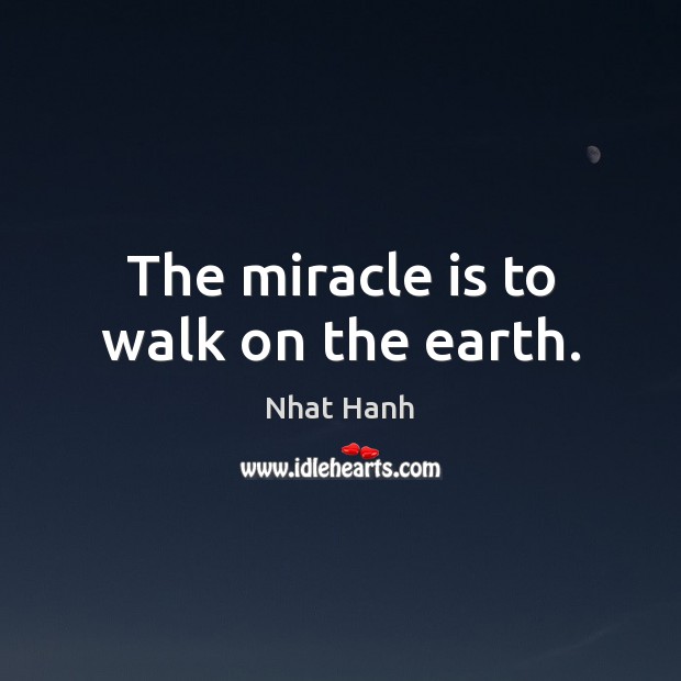 The miracle is to walk on the earth. Image