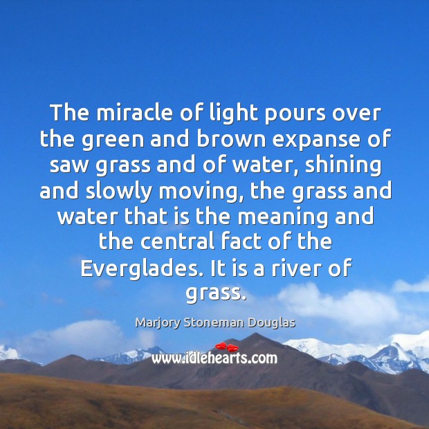 The miracle of light pours over the green and brown expanse of saw grass and Marjory Stoneman Douglas Picture Quote