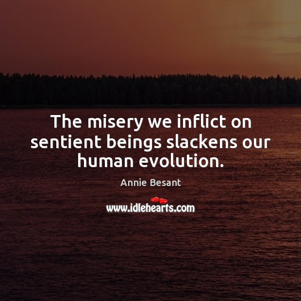 The misery we inflict on sentient beings slackens our human evolution. Annie Besant Picture Quote