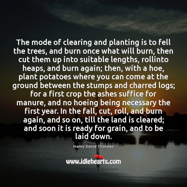 The mode of clearing and planting is to fell the trees, and Henry David Thoreau Picture Quote