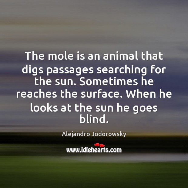 The mole is an animal that digs passages searching for the sun. Alejandro Jodorowsky Picture Quote