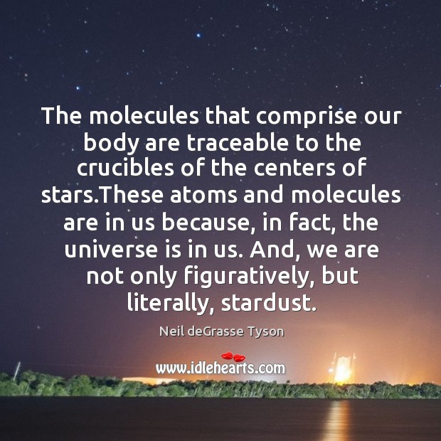 The molecules that comprise our body are traceable to the crucibles of Neil deGrasse Tyson Picture Quote