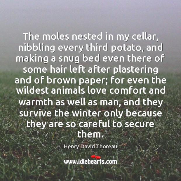 The moles nested in my cellar, nibbling every third potato, and making Winter Quotes Image