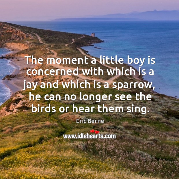 The moment a little boy is concerned with which is a jay and which is a Eric Berne Picture Quote