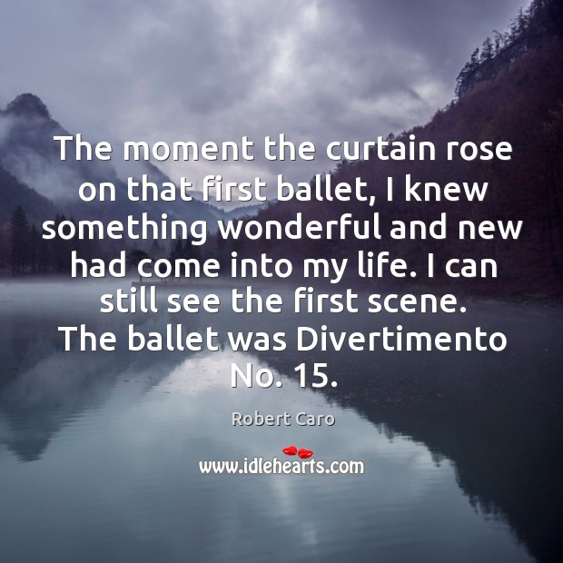 The moment the curtain rose on that first ballet, I knew something wonderful and new Robert Caro Picture Quote