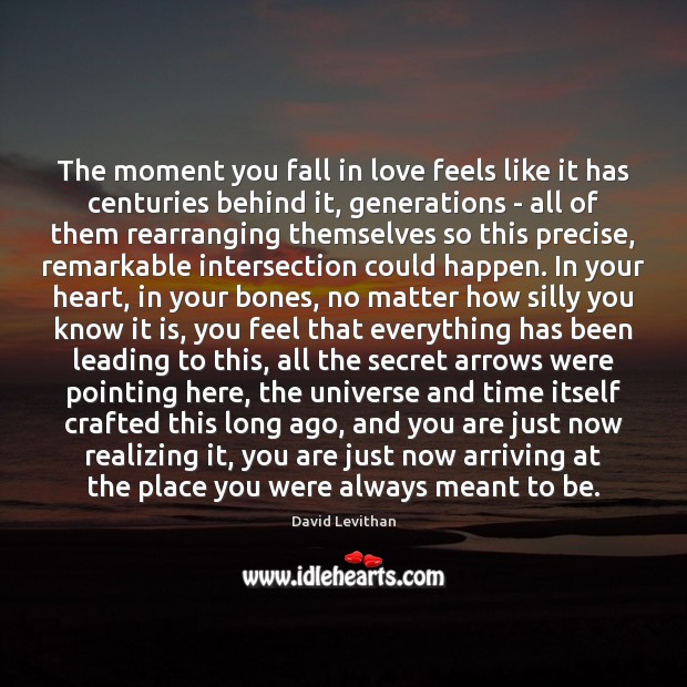 The moment you fall in love feels like it has centuries behind David Levithan Picture Quote