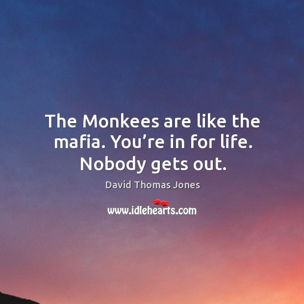 The monkees are like the mafia. You’re in for life. Nobody gets out. David Thomas Jones Picture Quote