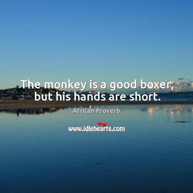 The monkey is a good boxer, but his hands are short. Image