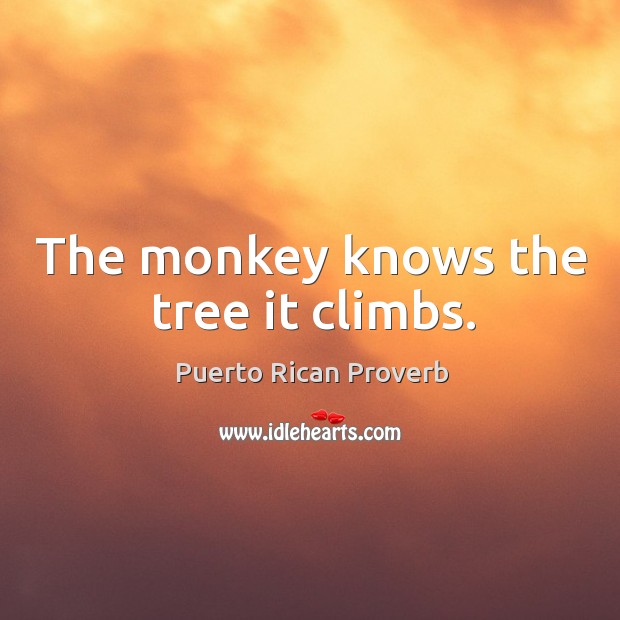 The monkey knows the tree it climbs. Puerto Rican Proverbs Image