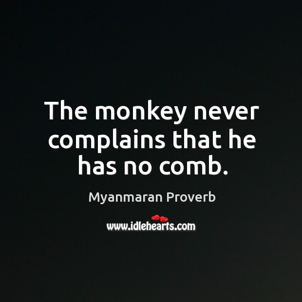 The monkey never complains that he has no comb. Myanmaran Proverbs Image