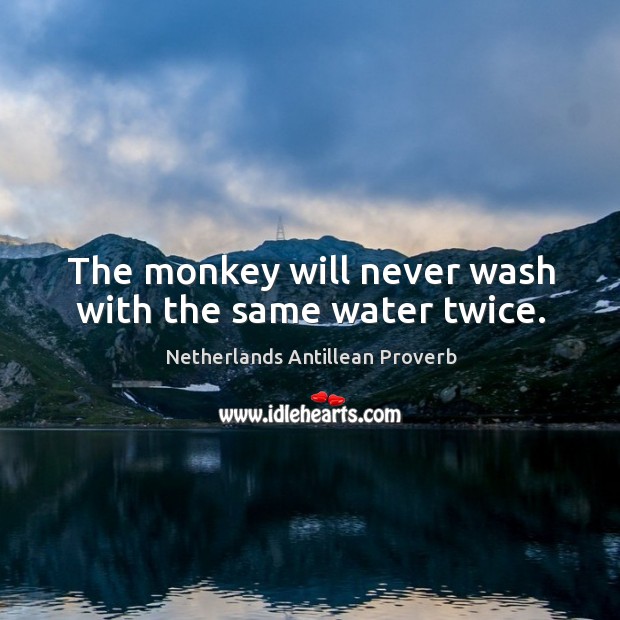 The monkey will never wash with the same water twice. Image