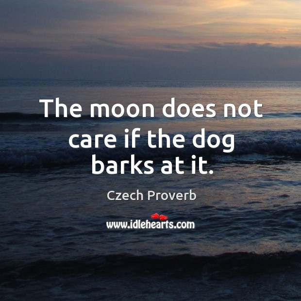 The moon does not care if the dog barks at it. Czech Proverbs Image