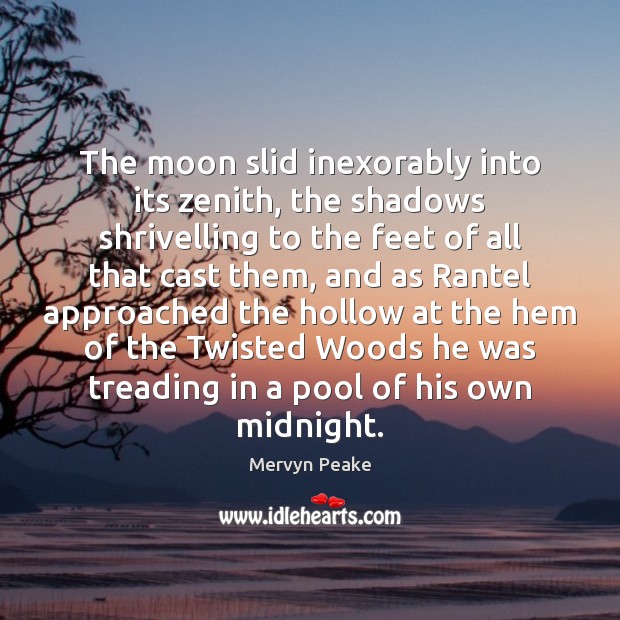The moon slid inexorably into its zenith, the shadows shrivelling to the Image