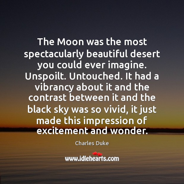 The Moon was the most spectacularly beautiful desert you could ever imagine. Charles Duke Picture Quote