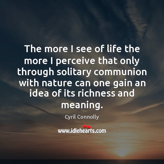 The more I see of life the more I perceive that only Image