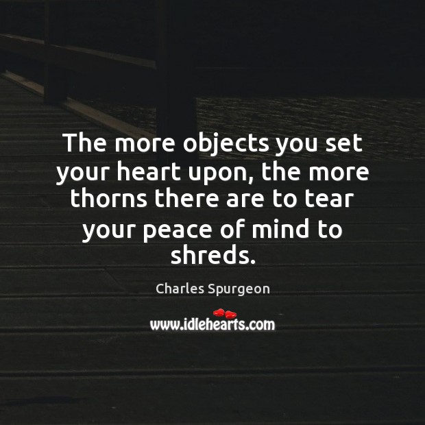 The more objects you set your heart upon, the more thorns there Image