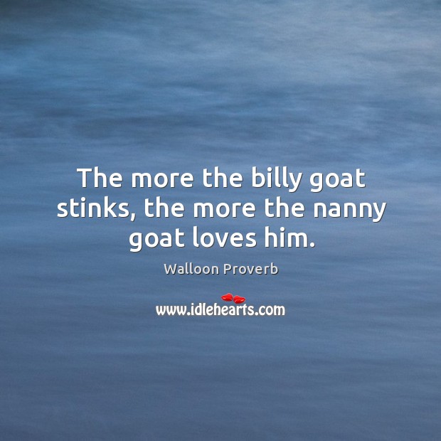 The more the billy goat stinks, the more the nanny goat loves him. Walloon Proverbs Image