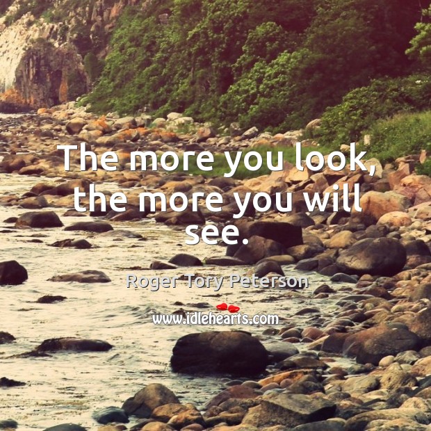 The more you look, the more you will see. Roger Tory Peterson Picture Quote