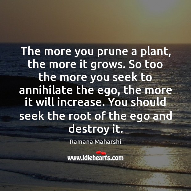 The more you prune a plant, the more it grows. So too Ramana Maharshi Picture Quote