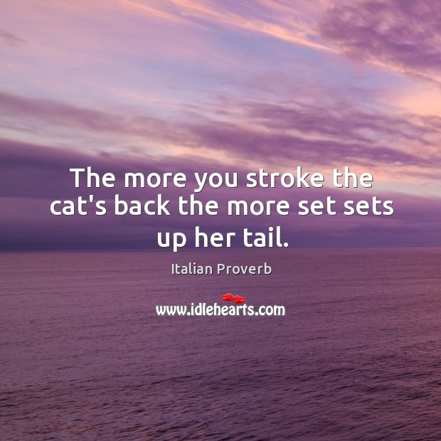 The more you stroke the cat’s back the more set sets up her tail. Image