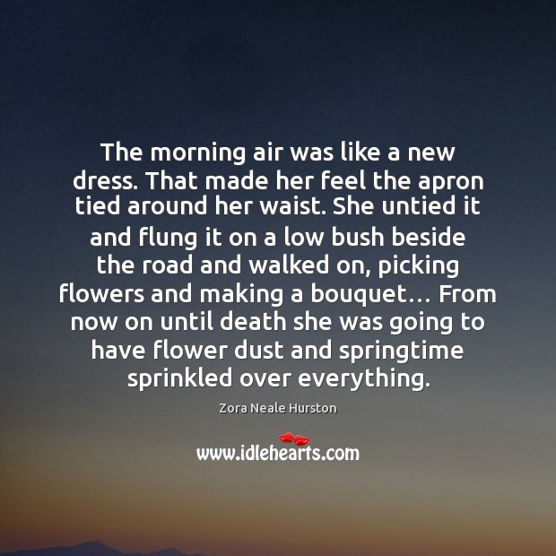 The morning air was like a new dress. That made her feel Zora Neale Hurston Picture Quote