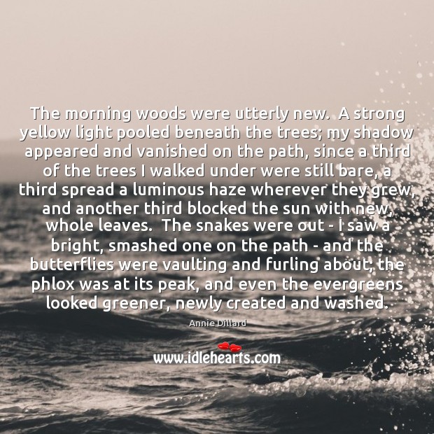 The morning woods were utterly new.  A strong yellow light pooled beneath Annie Dillard Picture Quote