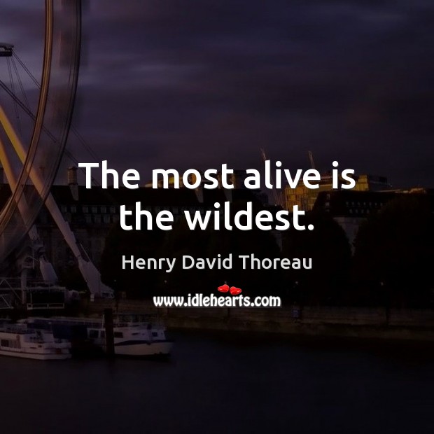 The most alive is the wildest. Henry David Thoreau Picture Quote