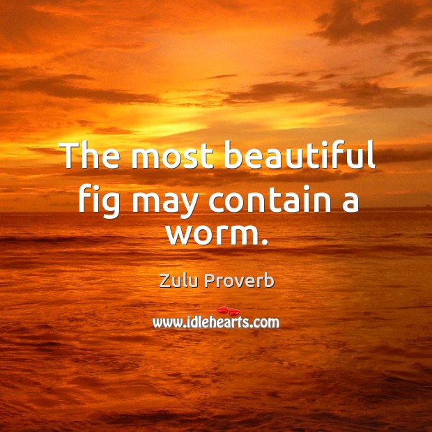 The most beautiful fig may contain a worm. Zulu Proverbs Image