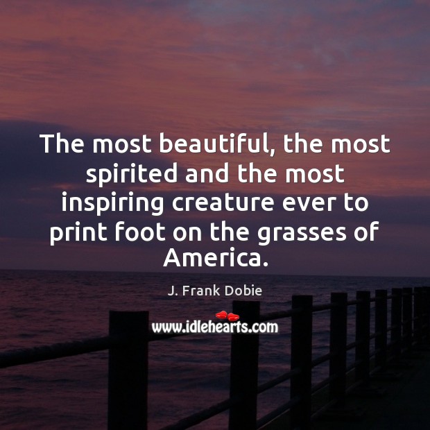 The most beautiful, the most spirited and the most inspiring creature ever J. Frank Dobie Picture Quote
