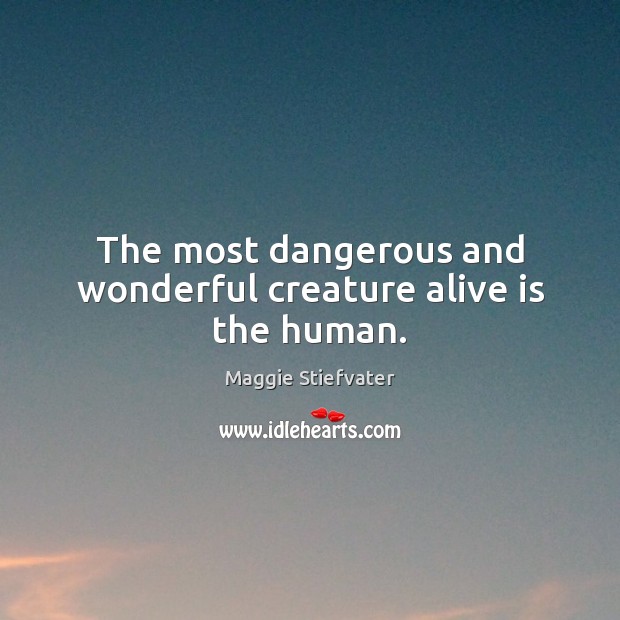 The most dangerous and wonderful creature alive is the human. Maggie Stiefvater Picture Quote