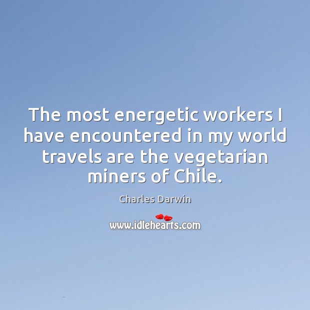 The most energetic workers I have encountered in my world travels are Charles Darwin Picture Quote