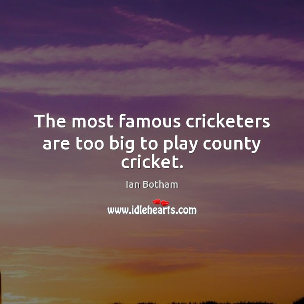 The most famous cricketers are too big to play county cricket. Ian Botham Picture Quote