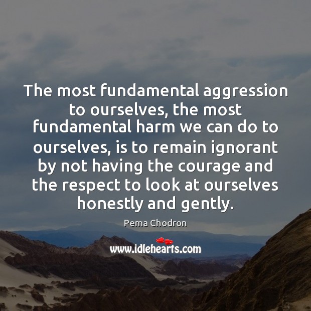 The most fundamental aggression to ourselves, the most fundamental harm we can Pema Chodron Picture Quote