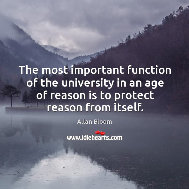 The most important function of the university in an age of reason is to protect reason from itself. Image