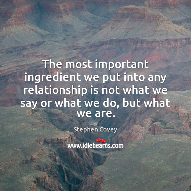 The most important ingredient we put into any relationship is not what Stephen Covey Picture Quote