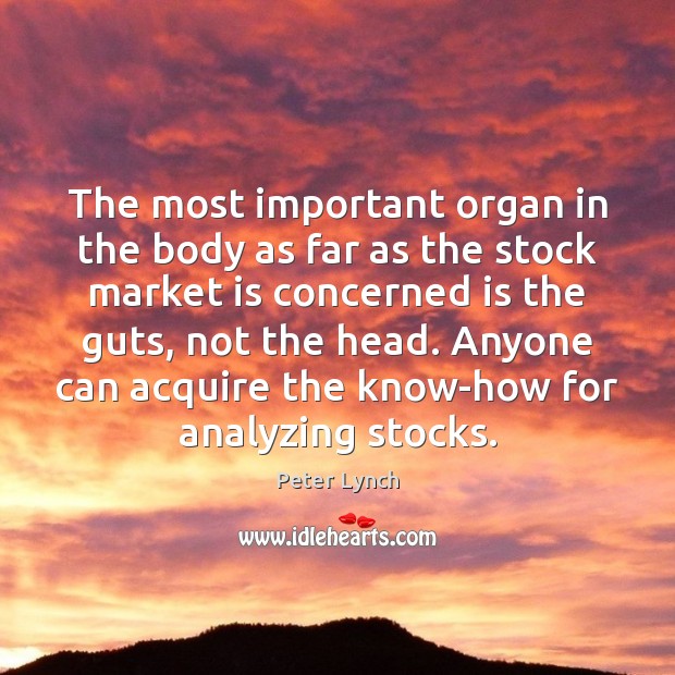 The most important organ in the body as far as the stock Peter Lynch Picture Quote