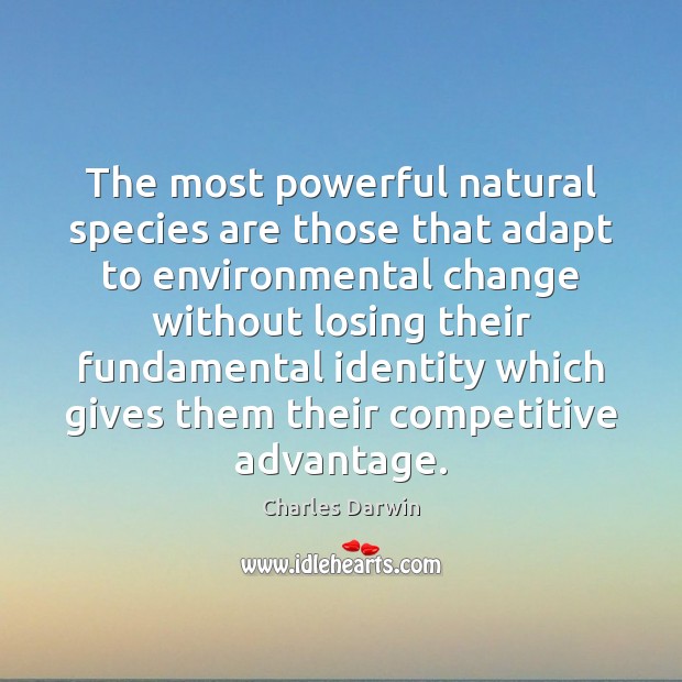The most powerful natural species are those that adapt to environmental change Charles Darwin Picture Quote