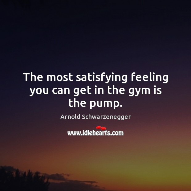 The most satisfying feeling you can get in the gym is the pump. Arnold Schwarzenegger Picture Quote