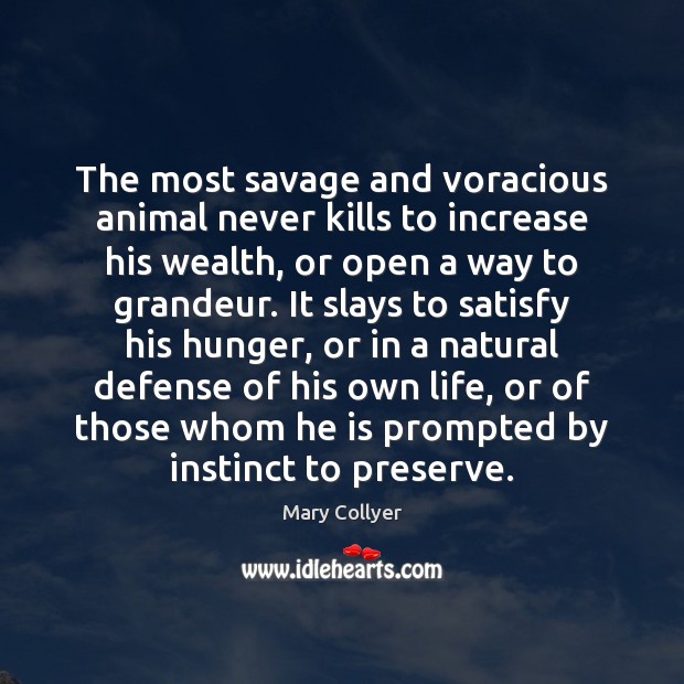The most savage and voracious animal never kills to increase his wealth, Mary Collyer Picture Quote