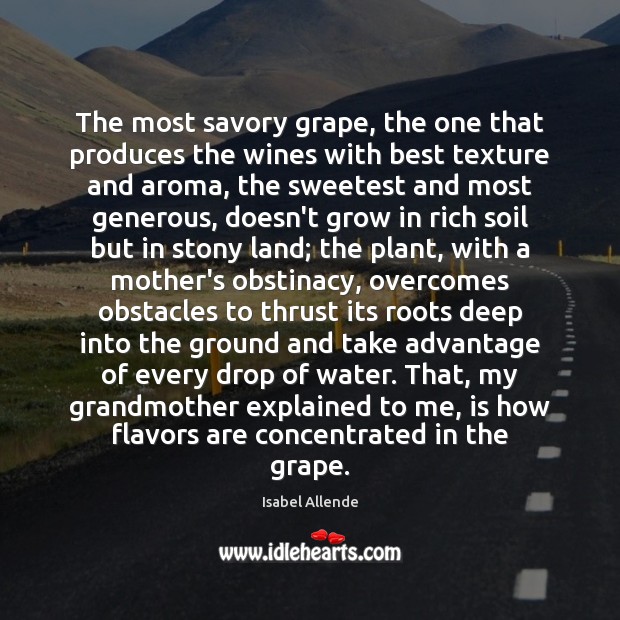 The most savory grape, the one that produces the wines with best Isabel Allende Picture Quote