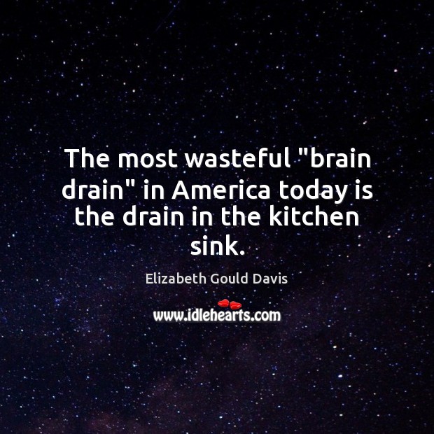 The most wasteful “brain drain” in America today is the drain in the kitchen sink. Elizabeth Gould Davis Picture Quote