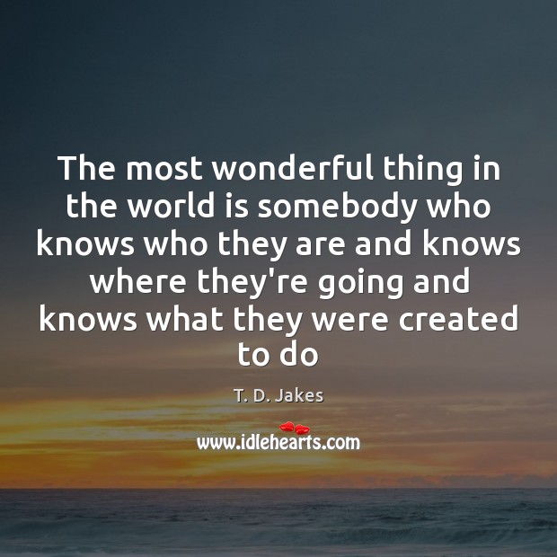 The most wonderful thing in the world is somebody who knows who T. D. Jakes Picture Quote