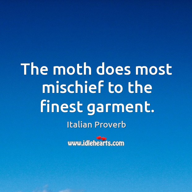 The moth does most mischief to the finest garment. Image