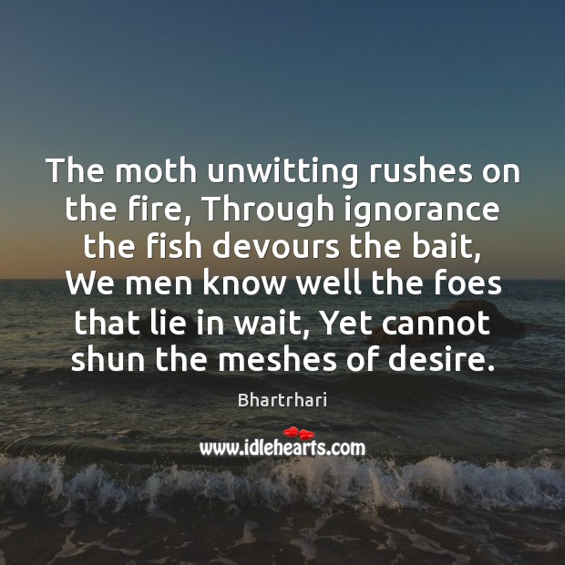 The moth unwitting rushes on the fire, Through ignorance the fish devours Bhartrhari Picture Quote